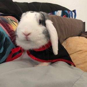 Meet your Posher, Desarai